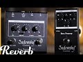 Sadowsky SBP-1 Bass Preamp/DI & SBP-2 Bass Preamp Pedal | Reverb Demo Video