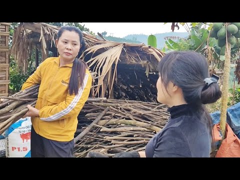 Dinh asked Tuyet to connect the power line from Tuyet's house to her house