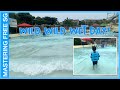 Wild Wild Wet Day