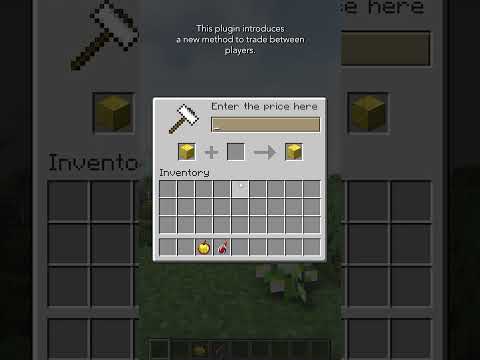 Turn Your Minecraft Server into a Profit-Making Machine!
