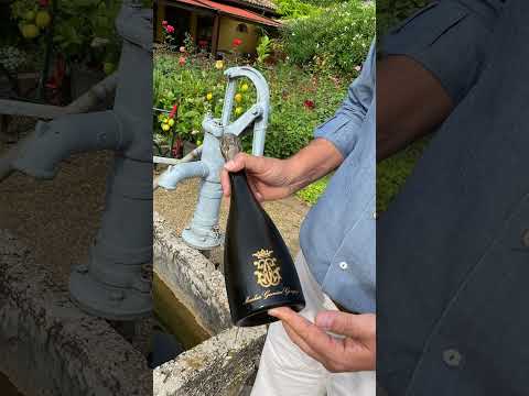 Trento DOC Marchesi Guerrieri Gonzaga