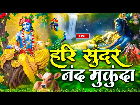 LIVE🔴हरि सुन्दर नन्द मुकुंदा | Hari Sundar Nand Mukunda |Shri Krishan Bhajan | Most Beautiful Bhajan