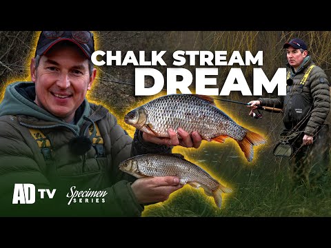 Winter Trotting - Phil Spinks Specimen Series - Roach, Dace & Grayling Fishing