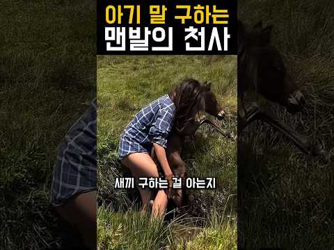 아기 말 구하는 맨발의 천사