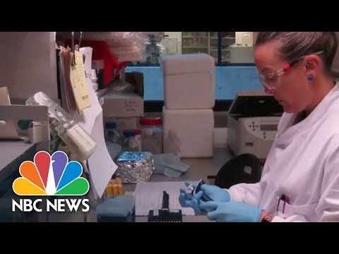 Watch Full Coronavirus Coverage - April 29 | NBC News Now (Live Stream)