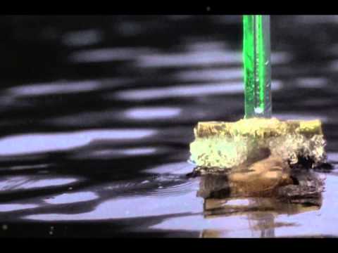 Excalibur - lady of the lake