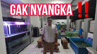 GAK NYANGKA !!! JAMM VLOG HOBIES BARU YANG KERJANJINGAN IKAN PREDATOR BISA SEJAUH INI