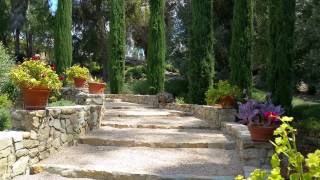 How to Plant Pots For Beauty and Elegance