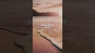 the lumineers - dead sea (lyrics)