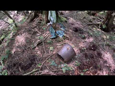 Aokigahara Rnd 10   Final