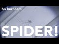 Bo Burnham - SPIDER! (Hiding In The Corner)