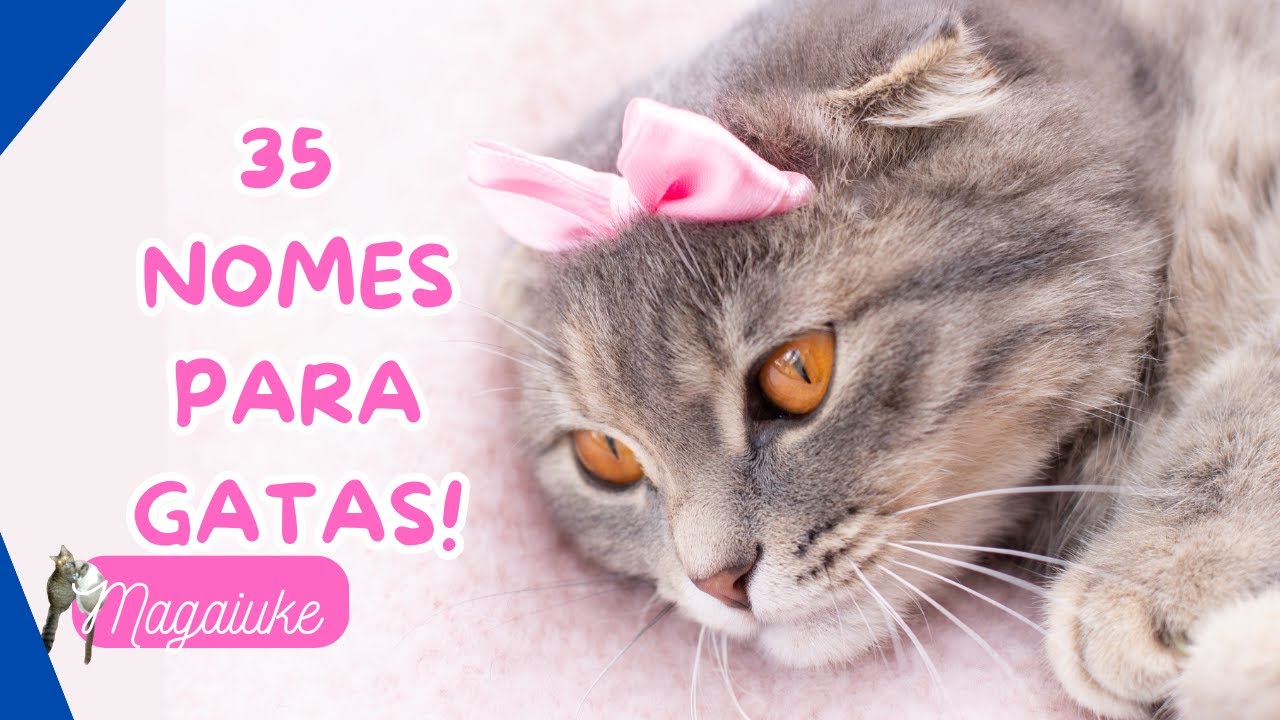35 Nomes para GATOS FÊMEAS !