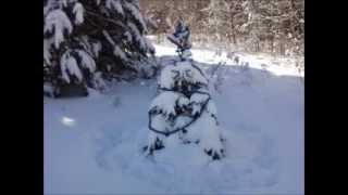 A Christmas Carol by Tom Lehrer