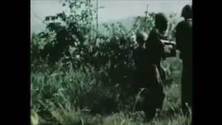 The Black Angels - First Vietnamese War