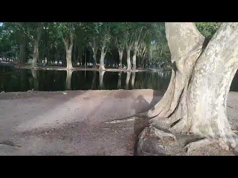 Uno de los parques más bonitos del país. rio cuarto cordoba 