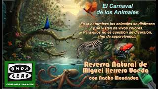 Miniatura de YouTube para: El Carnaval de los Animales