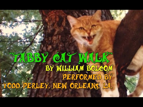 "Tabby Cat Walk" by William Bolcom, Performed by Todd Perley
