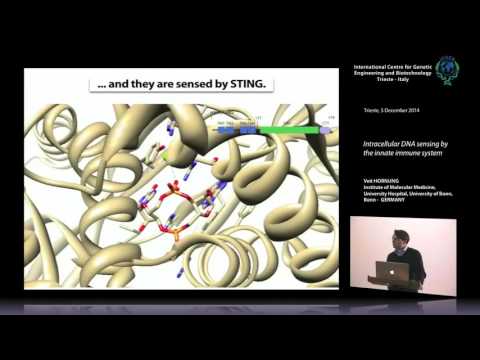 V. Hornung - Intracellular DNA sensing by the innate immune system