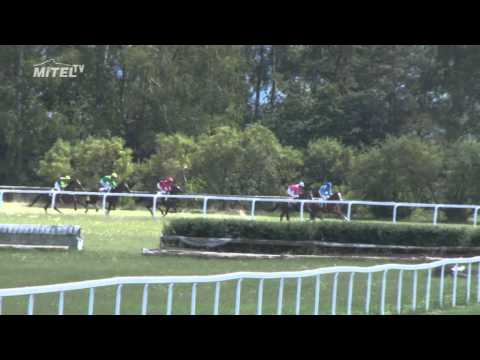 MI, 26. 7. 2015, 2. dostih - CENA CHRIS RICHNER BLOODSTOCK