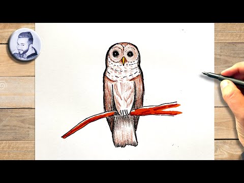 Comment dessiner une chouette sur branche facilement