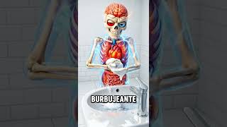 Usas Tu Celular En El Baño… Mira Esto 🤢📱 #QuePasaria #Curiosidades #datoscuriosos  #españa