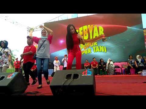 Duo Putri BAHAR goyang naik turun di acara gebyar super tani di wajo