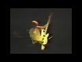 Soul Asylum - May 5 1989 Minneapolis, MN