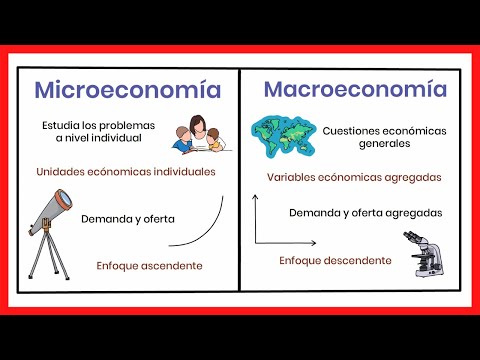 MACROECONOMICS and MICROECONOMICS | Differences and relationship