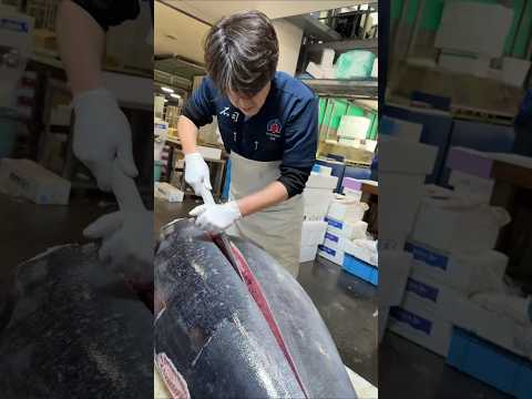 चीन से अविश्वसनीय टूना काटने की तकनीक