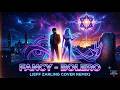 Fancy Bolero Jeff Zarling Cover Remix