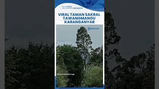 Taman Sakral Tawangmangu Karanganyar, Tawarkan Indahnya Bunga Sakura dan Panorama Gunung Lawu