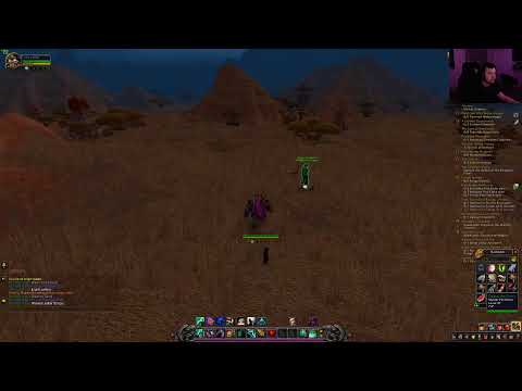 wow lvl 29 monk panda