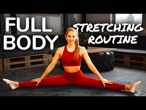 Full body stretching routine - no equipment