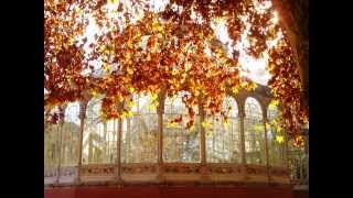 RADIO FUTURA  La estatua del Jardín Botánico
