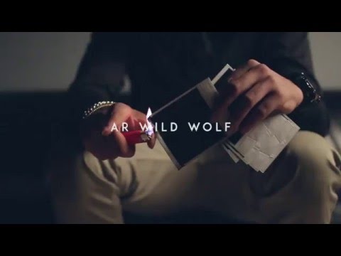 AR Wild Wolf-Polariod Ft.Dante Pedro(Coming Soon)