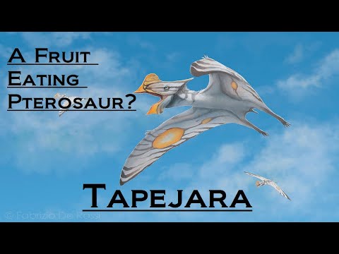 Prehistoric Breakdown: Tapejara