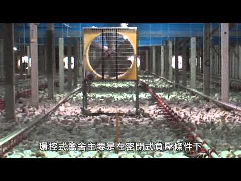 家禽免疫注射生物安全  暨養禽場新式設備宣導  國語