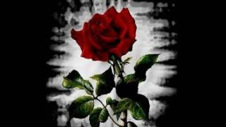 Black Rose ....Doro Pesch