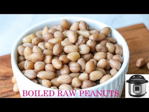 download lagu mp3 mp4 Calories In Boiled Peanuts Without Shell, download lagu Calories In Boiled Peanuts Without Shell gratis, unduh video klip Calories In Boiled Peanuts Without Shell