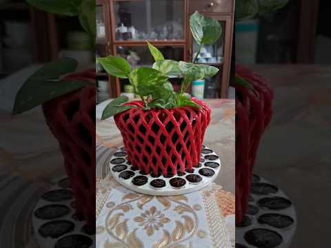Diy money plant pot #reels #shorts #trending #diy #craft #plants #flowers #art #artist #love #money