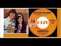 The Carpenters We Ve Only Just Begun Vinyl
