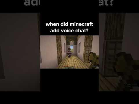HIDDEN TRUTH: Minecraft Villagers will SHOCK you!