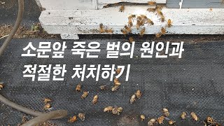 9월의 응애피해는 이렇게 방제 해 보세요.