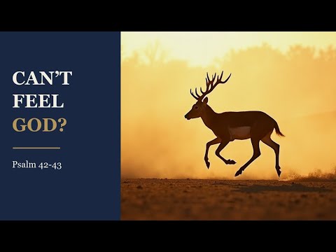 The Psalm for When You Can't Feel God (Psalm 42-43)