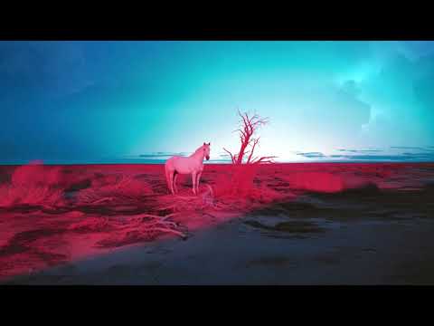 indie tribe - 40 DAYS (prod by 1995 & Enzo Gran)