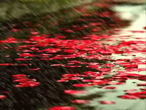 Double Game Adi Penne Unakke    Steve Cliff ft  Princeten