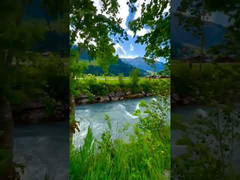 #foryou #nature #yputube #babysong #love #gogonshaikb #childrenssong #travel #unfrez #nurseryrhyme