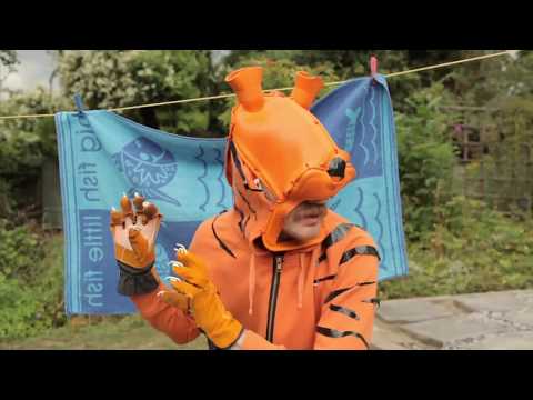 Stephen Malkmus & The Jicks - Tigers (Official Video)