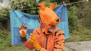 Stephen Malkmus &amp; The Jicks - Tigers (Official Video)