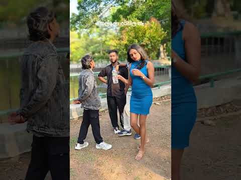 Happy Women's Day 🩷🌸🌎